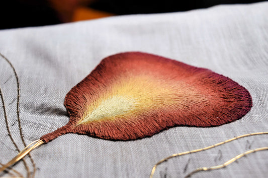 The First Iris Petal